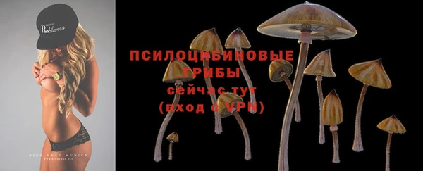 прущий лед Нея