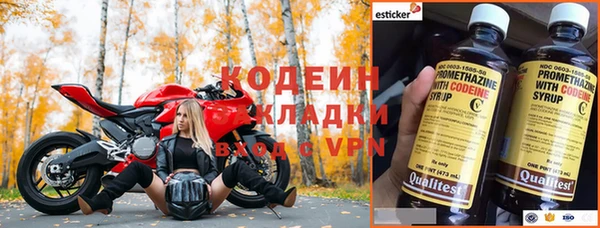 СК Новодвинск