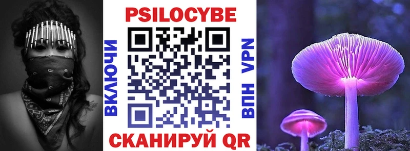 Купить закладки  Дальнереченск  Галлюциногенные грибы мицелий 