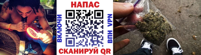 Купить закладки  Дальнереченск  Марихуана семена 